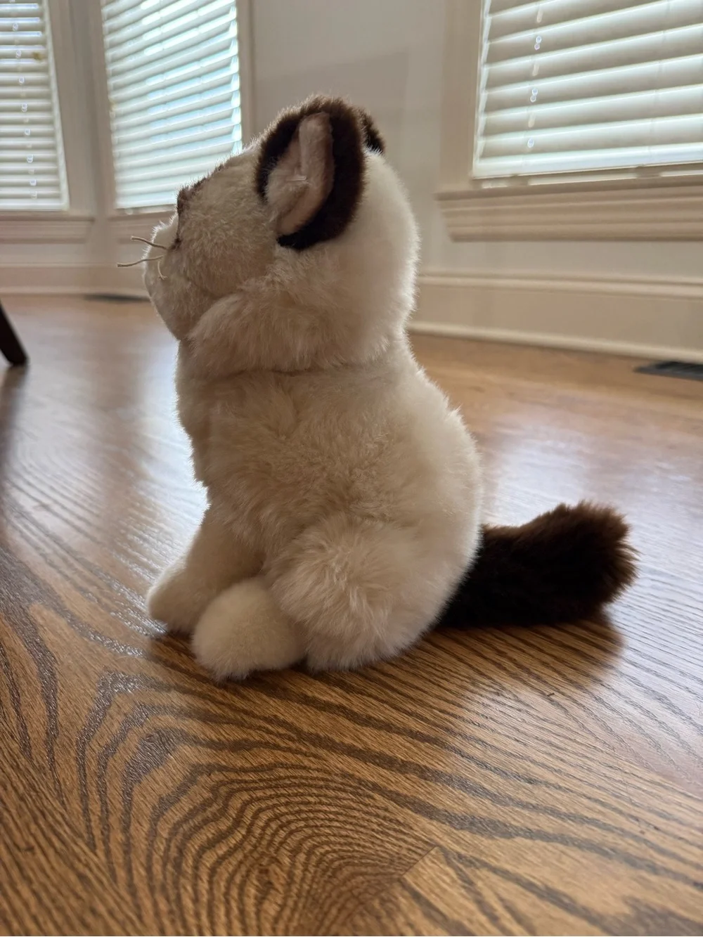10” Plush Grumpy Cat by Gund